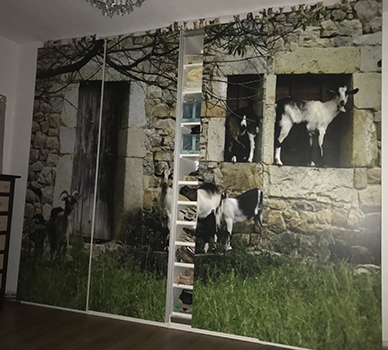 vinilo impreso y laminado