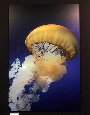 impresion directa sobre composite