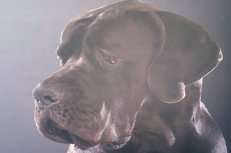 impresion directa sobre pvc