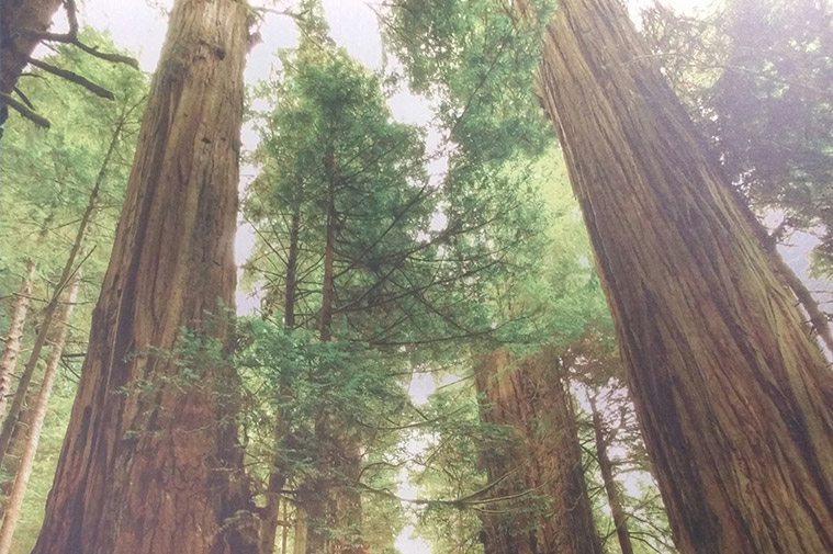 impresion directa sobre aluminio 2