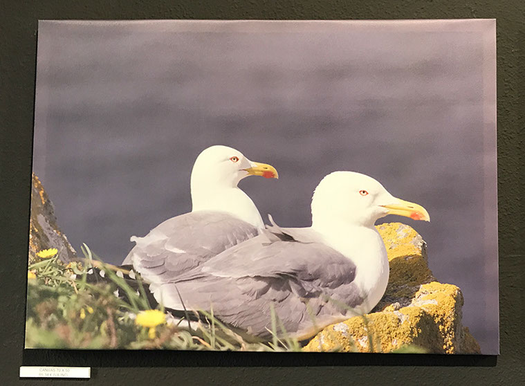 textil impreso en marco