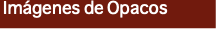 &nbsp;Imágenes de Opacos