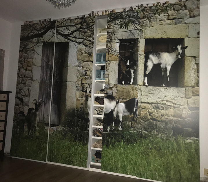 vinilo impreso y laminado