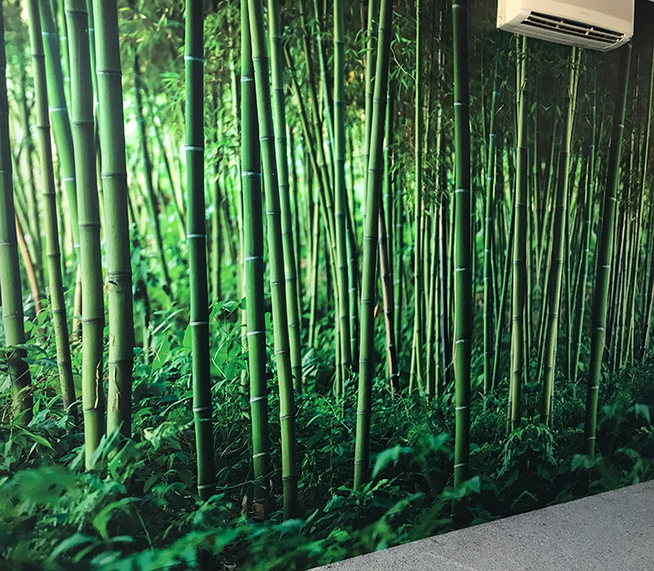 vinilo impreso y laminado