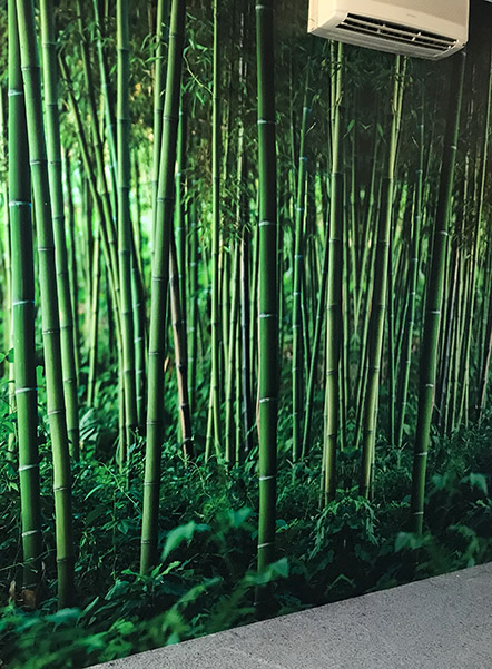 vinilo impreso y laminado